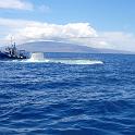 Submarine Dive